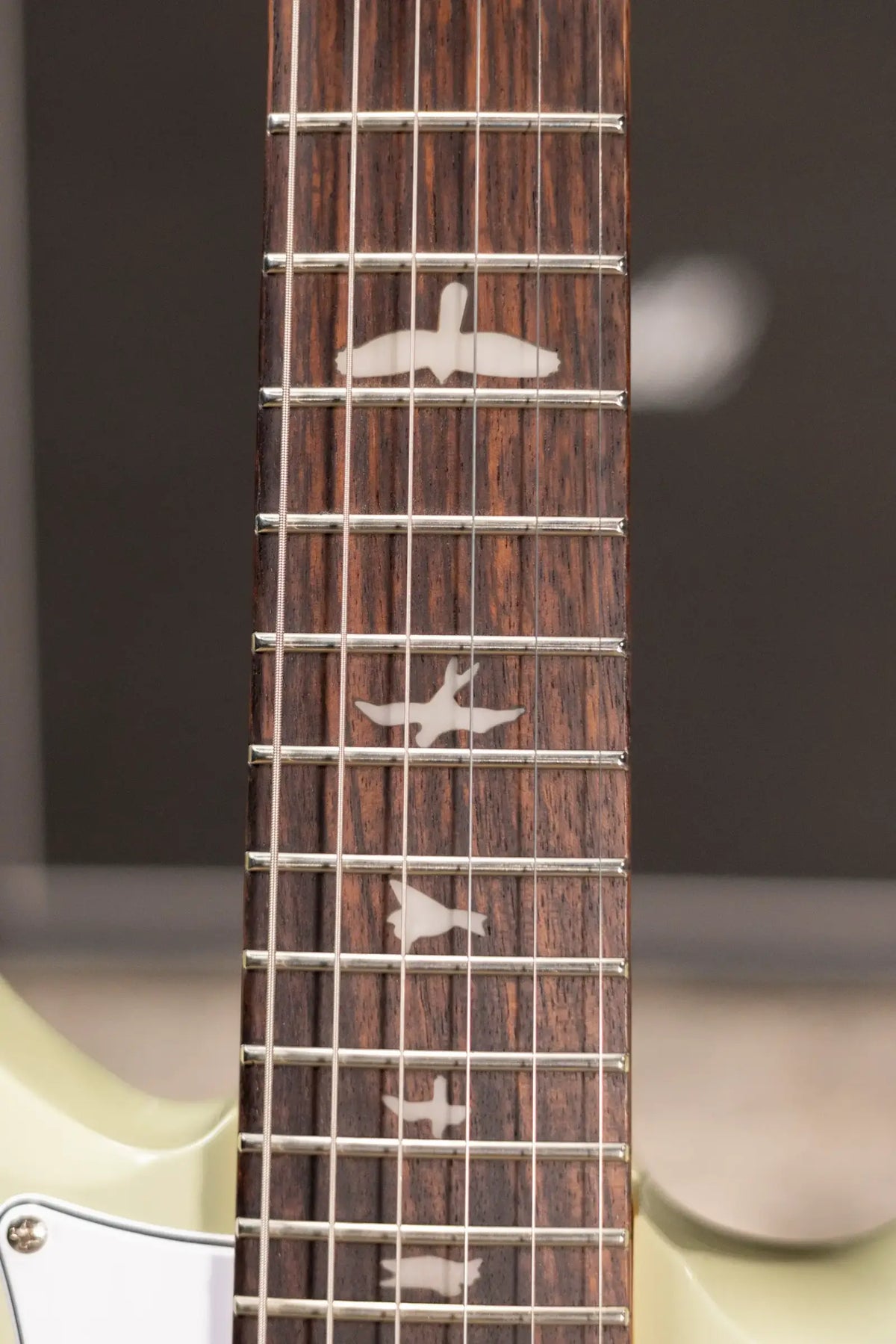 PRS SE Studio Standard Rosewood Electric Guitar - Sage Green with Gig Bag - Demo