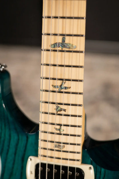 PRS SE Swamp Ash Special 22 Bolt-On Electric Guitar - Iri Blue with Gig Bag