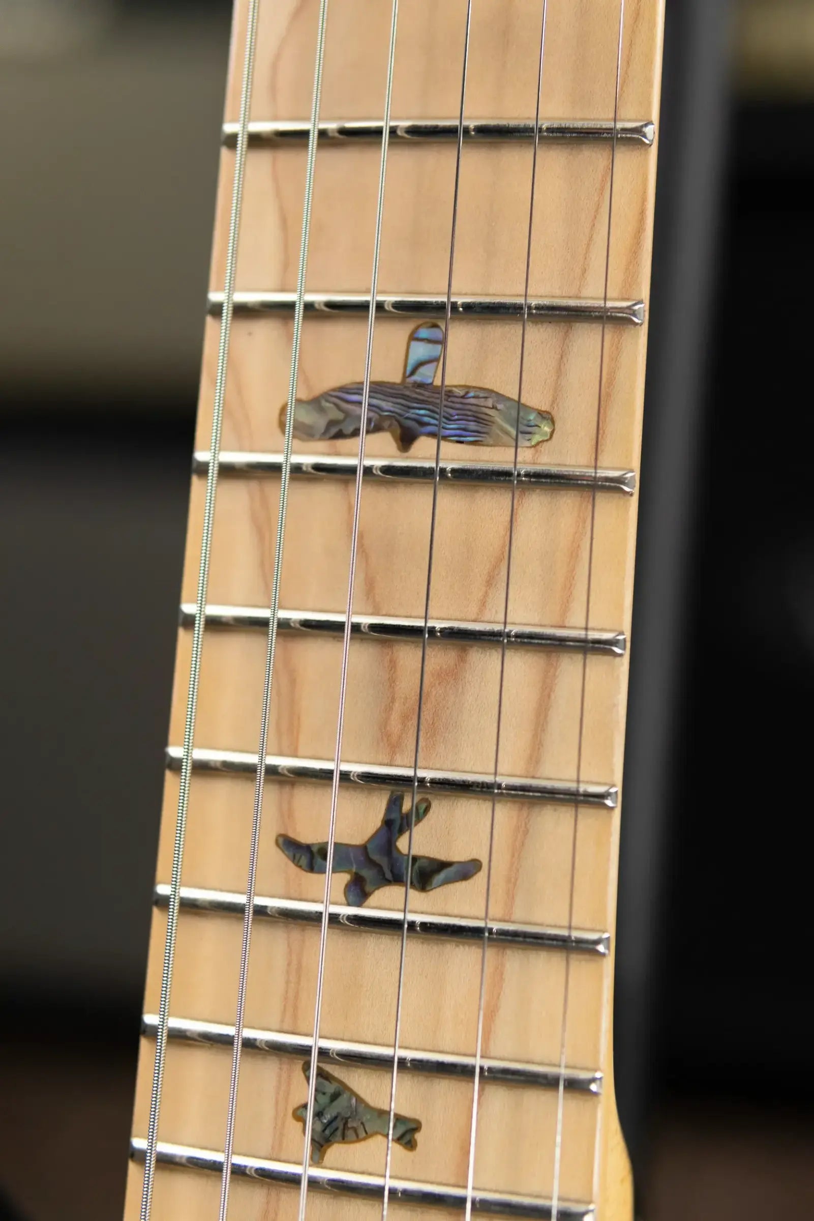 PRS SE Swamp Ash Special 22 Bolt-on Electric Guitar - Charcoal with Gig Bag