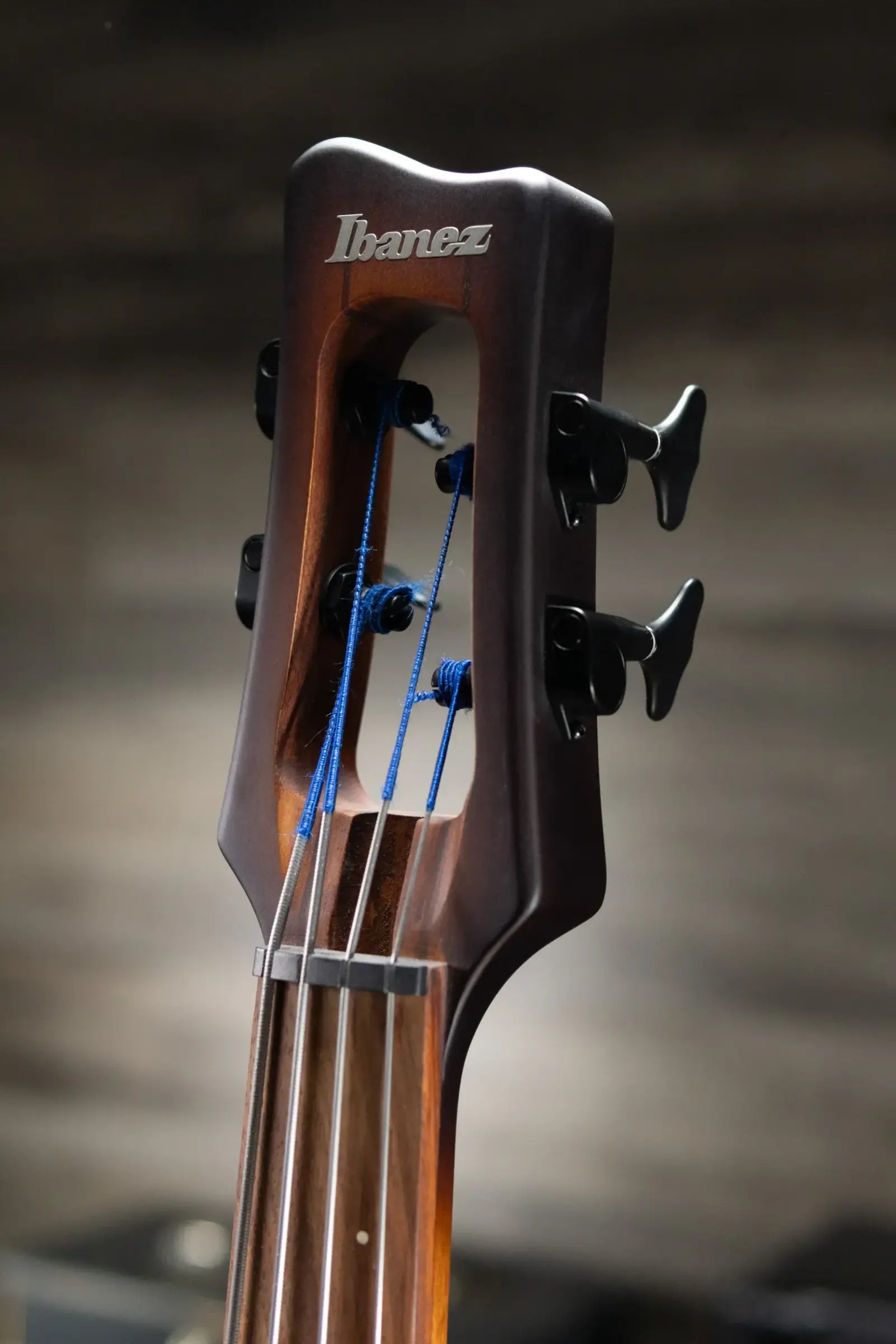 Ibanez Bass Workshop UB804 4-String Electric Upright Bass - Mahogany Oil Burst with Gig Bag