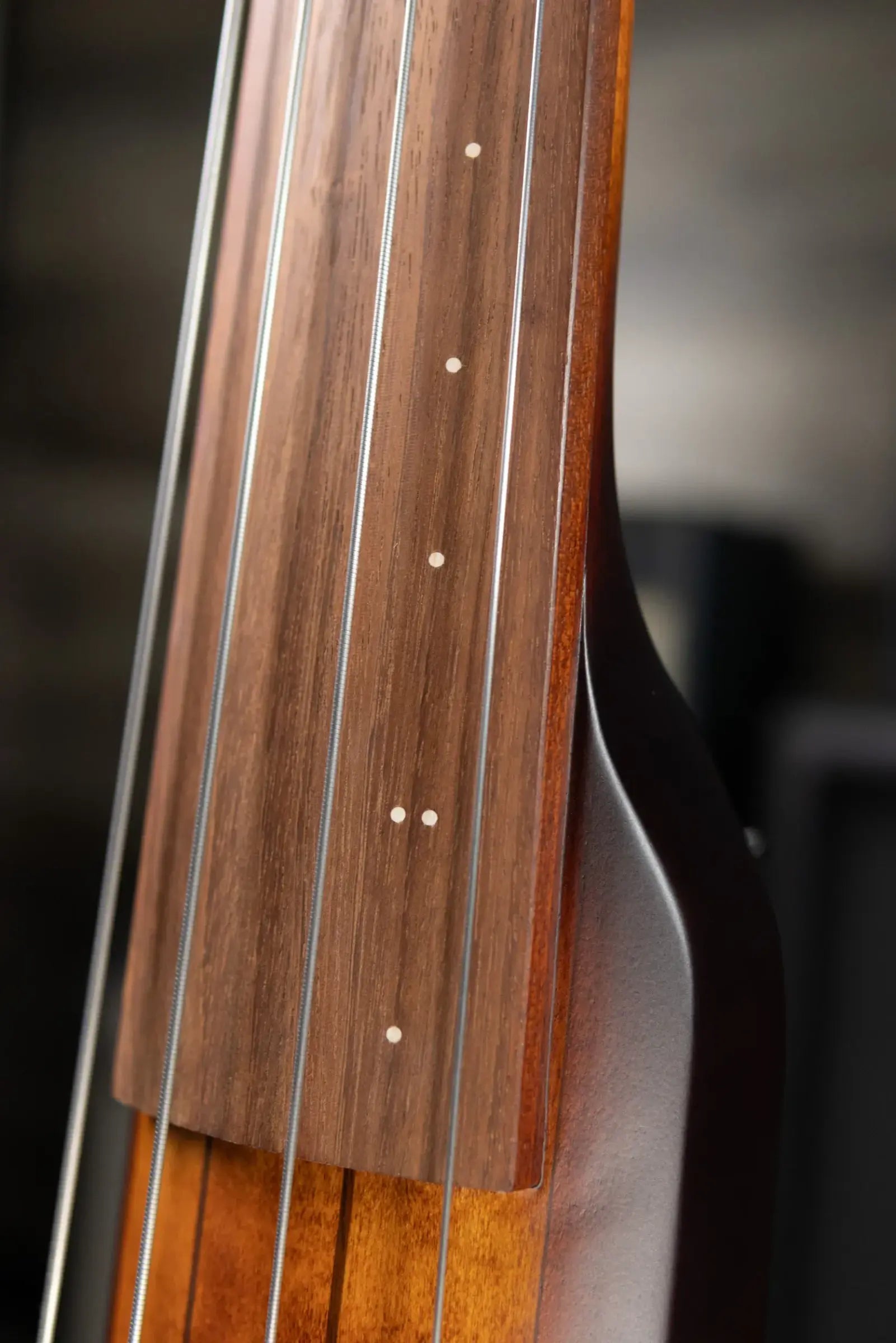 Ibanez Bass Workshop UB804 4-String Electric Upright Bass - Mahogany Oil Burst with Gig Bag