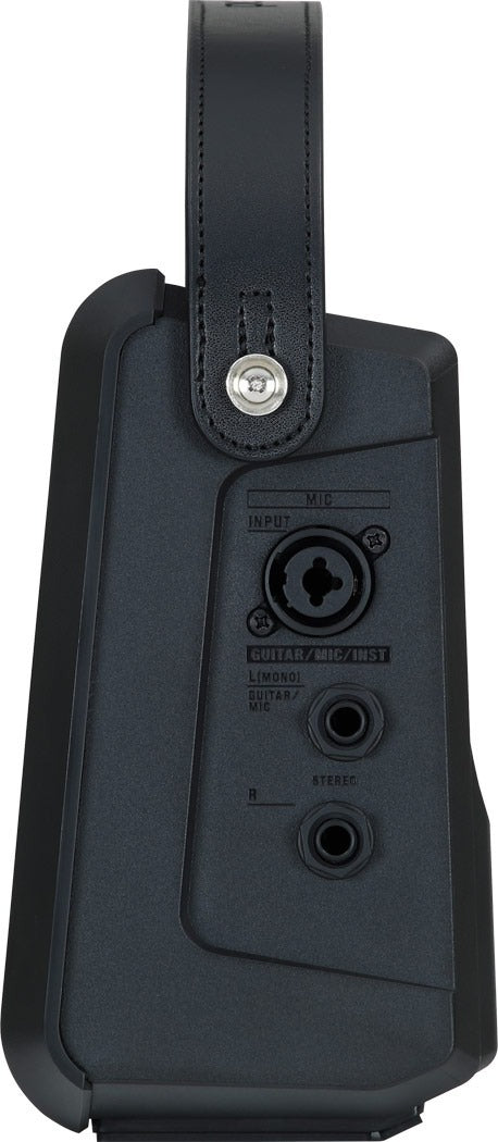Roland CUBE-Street Mini Amplifier