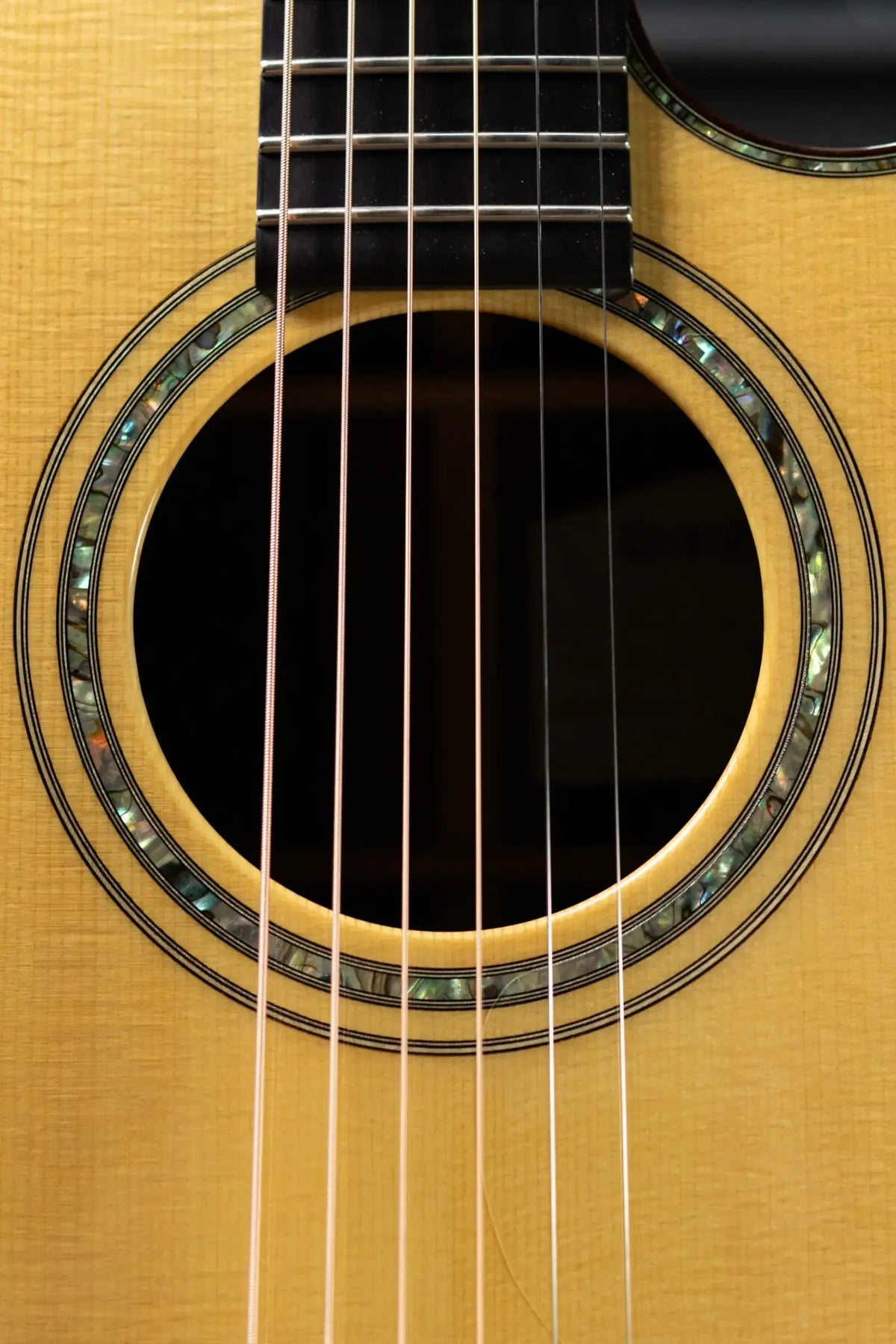 Ryan Guitars Mission Grand Concert Acoustic Guitar - Brazilian Rosewood/Adirondack with Hardshell Case - Used