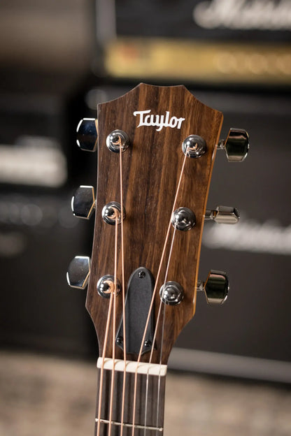 Taylor 110ce Dreadnought Acoustic/Electric Guitar - Solid Torrefield Spruce with Gig Bag