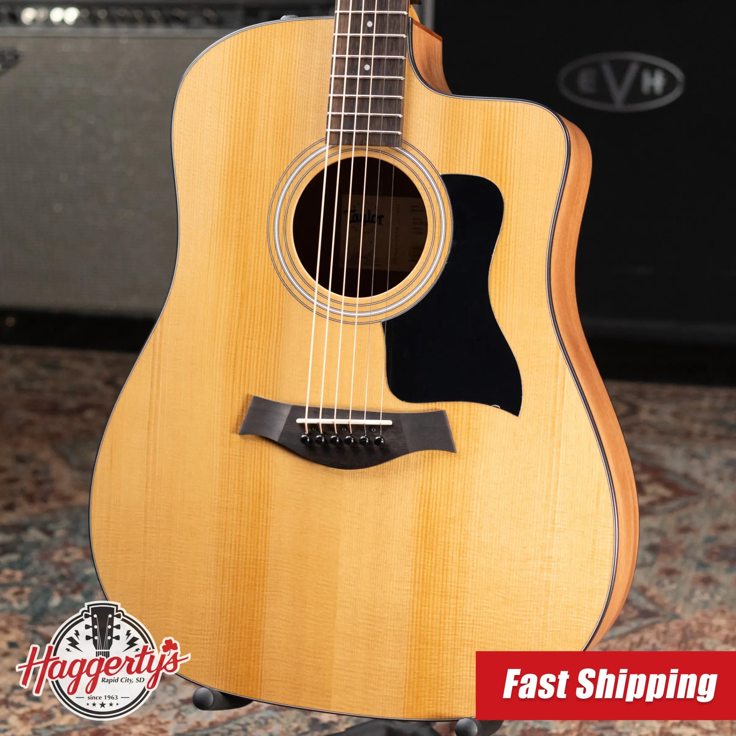 Taylor 110ce Dreadnought Acoustic/Electric Guitar - Solid Torrefield Spruce with Gig Bag