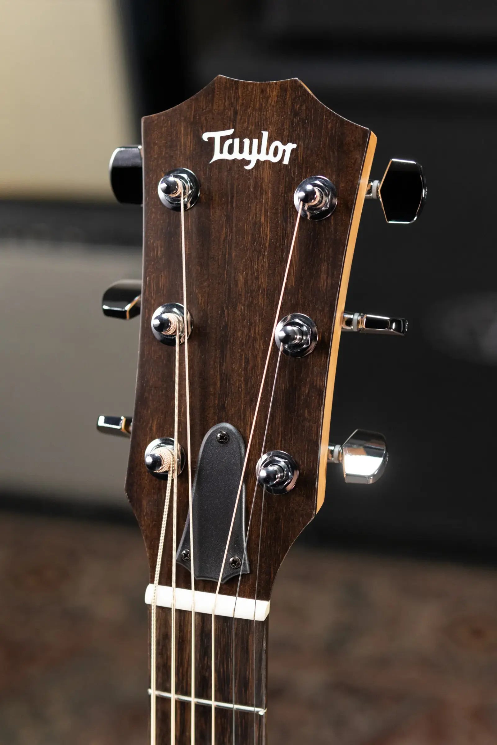Taylor 110ce Dreadnought Acoustic/Electric Guitar - Solid Torrefield Spruce with Gig Bag