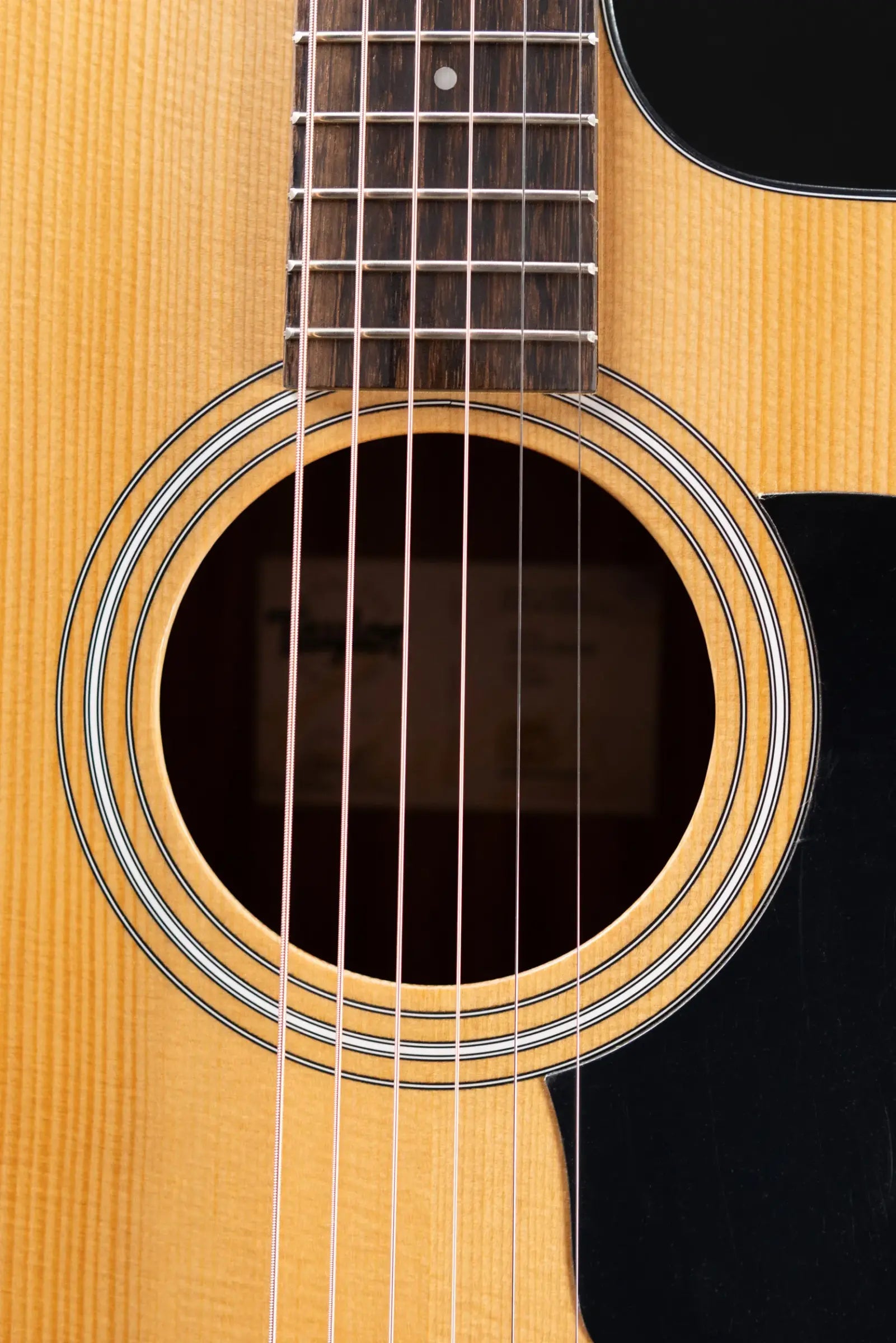 Taylor 110ce Dreadnought Acoustic/Electric Guitar - Solid Torrefield Spruce with Gig Bag