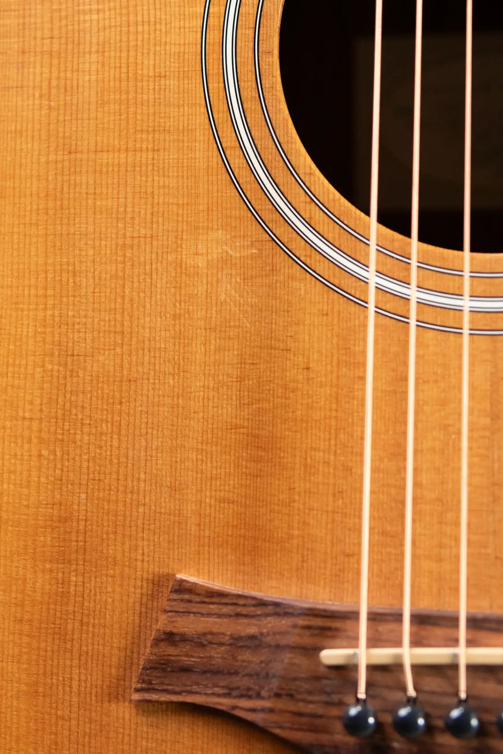 Taylor 110e Dreadnought Acoustic/Electric Guitar with Gig Bag - Used