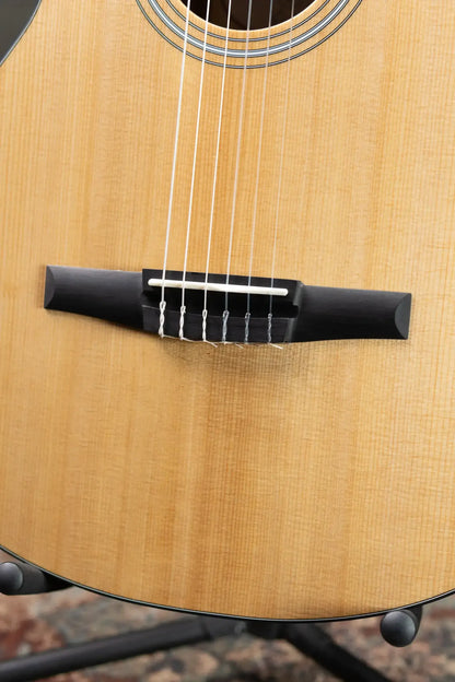 Taylor 112ce-N Nylon Grand Concert Acoustic/Electric Guitar with Gig Bag