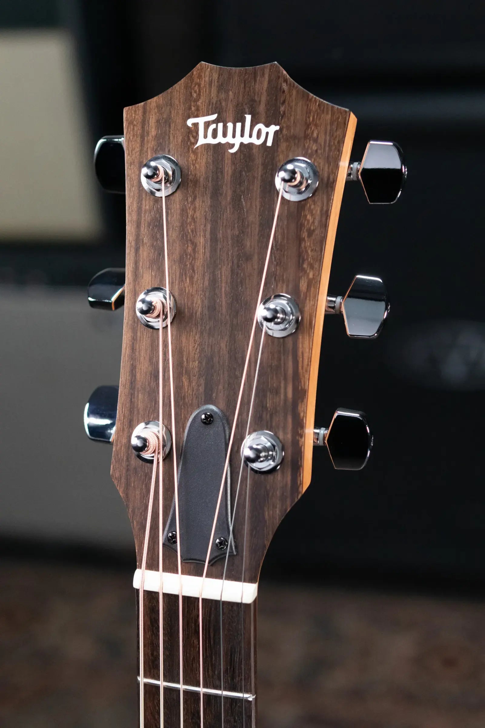 Taylor 114ce Grand Auditorium Acoustic/Electric Guitar - Sapele with Gig Bag