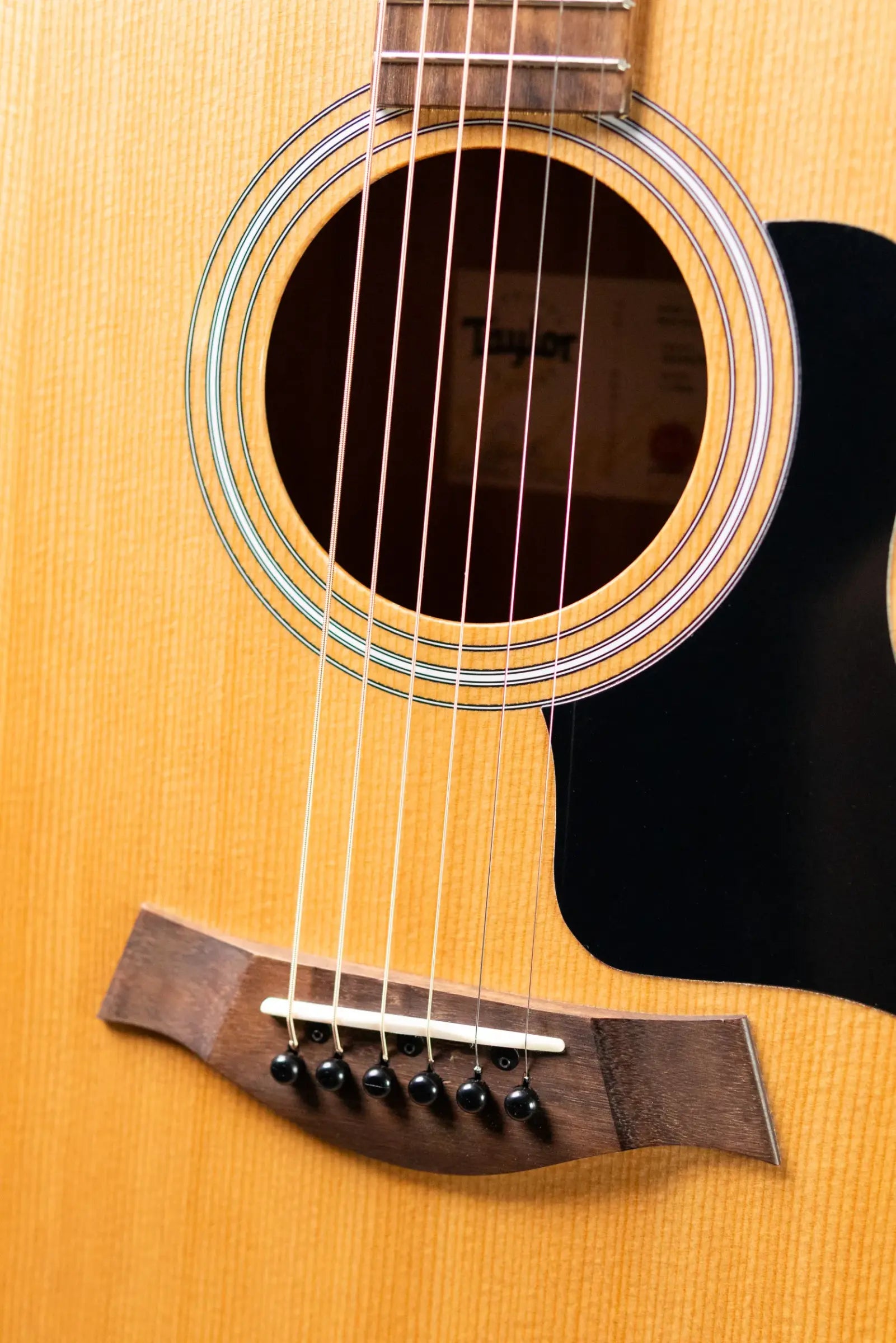 Taylor 114ce Grand Auditorium Acoustic/Electric Guitar - Sapele with Gig Bag