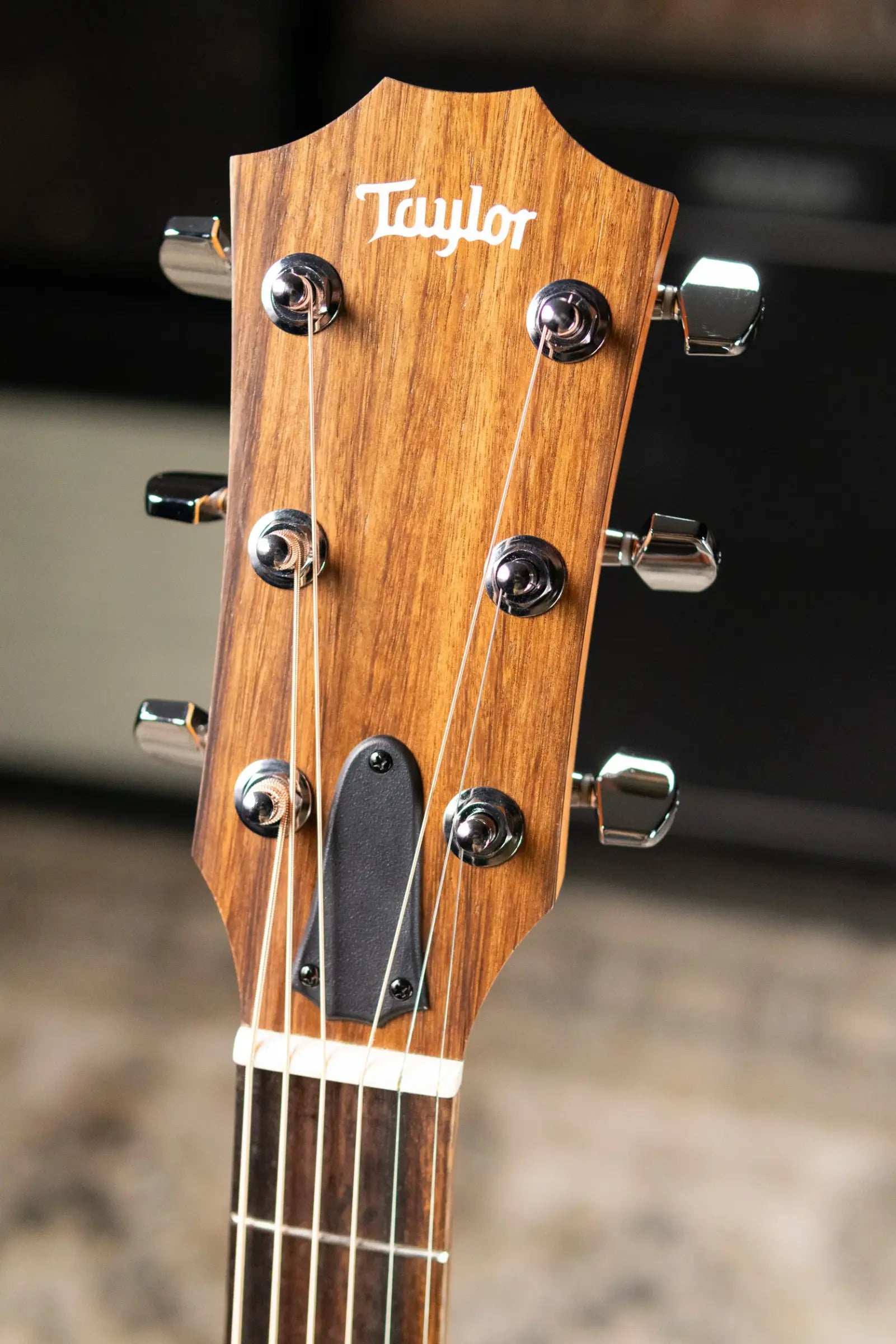 Taylor 114ce Grand Auditorium Acoustic/Electric Guitar - Sapele with Gig Bag