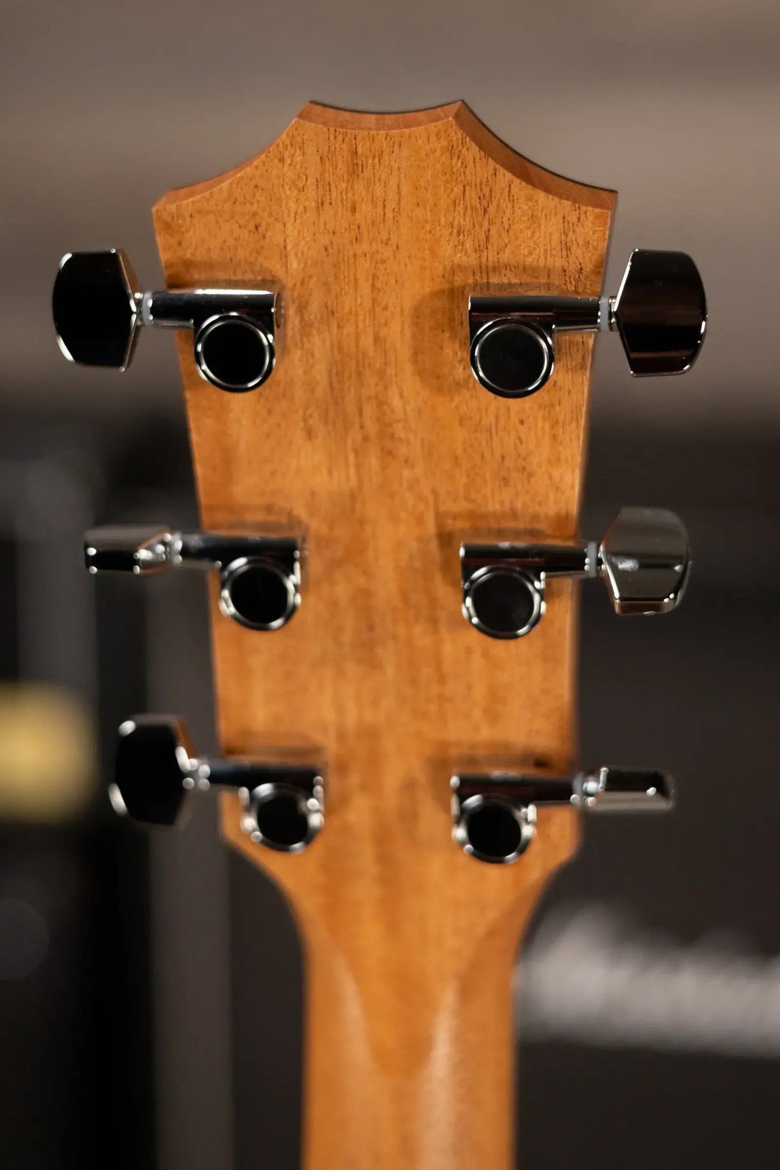 Taylor 114ce Grand Auditorium Acoustic/Electric Guitar with Gig Bag - Factory Used