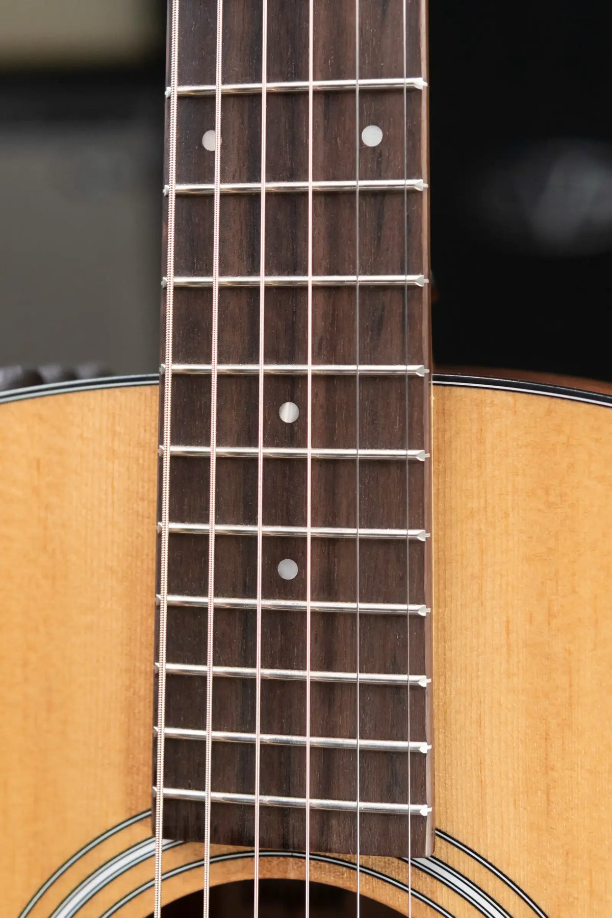 Taylor 117e Grand Pacific Acoustic/Electric Guitar with Gig Bag - Display Model