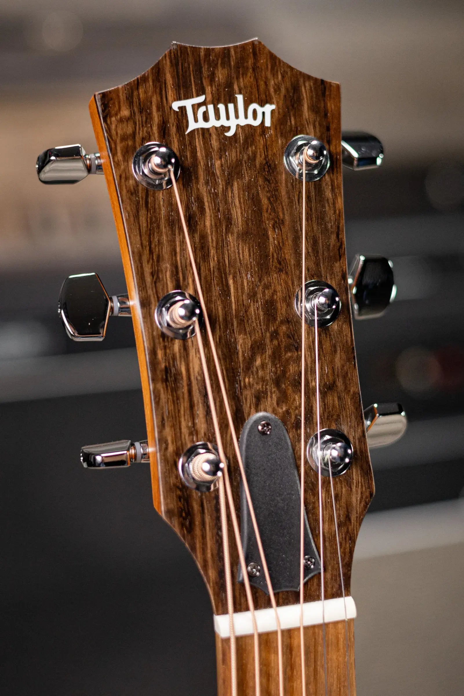 Taylor 117e Grand Pacific Acoustic/Electric Guitar with Gig Bag
