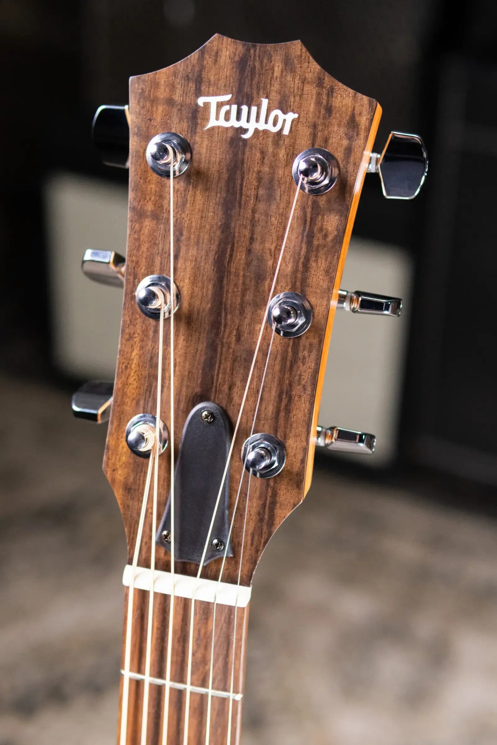 Taylor 117e Special Edition Grand Pacific Acoustic/Electric Guitar with Gig Bag