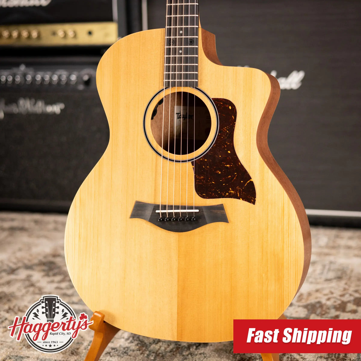 Taylor 14ce Grand Auditorium Acoustic/Electric Guitar with Gig Bag