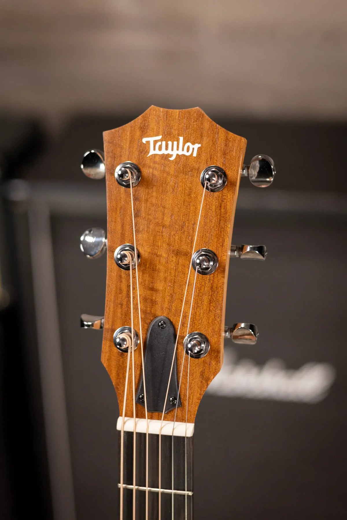 Taylor 14ce Grand Auditorium Acoustic/Electric Guitar with Gig Bag