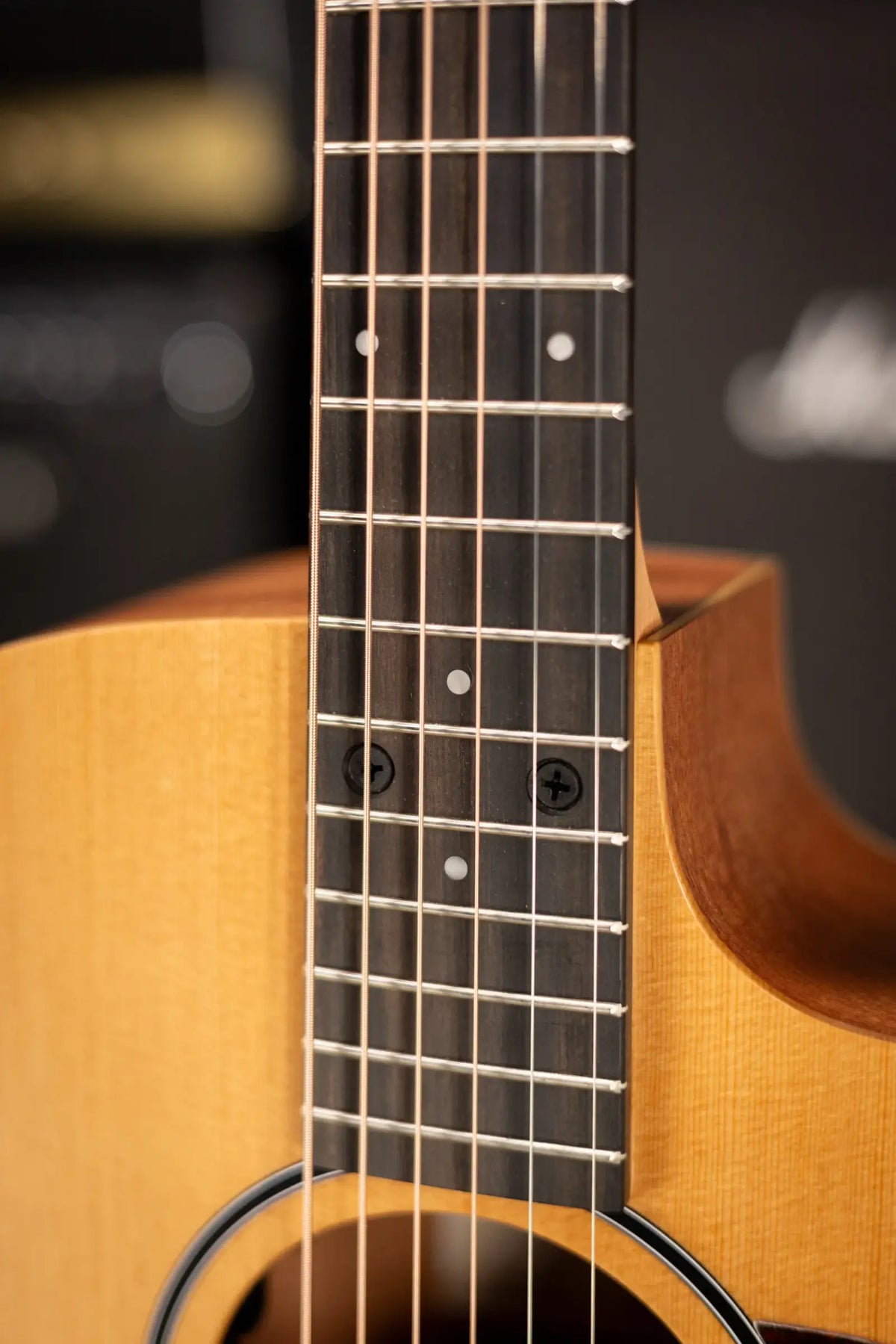 Taylor 14ce Grand Auditorium Acoustic/Electric Guitar with Gig Bag