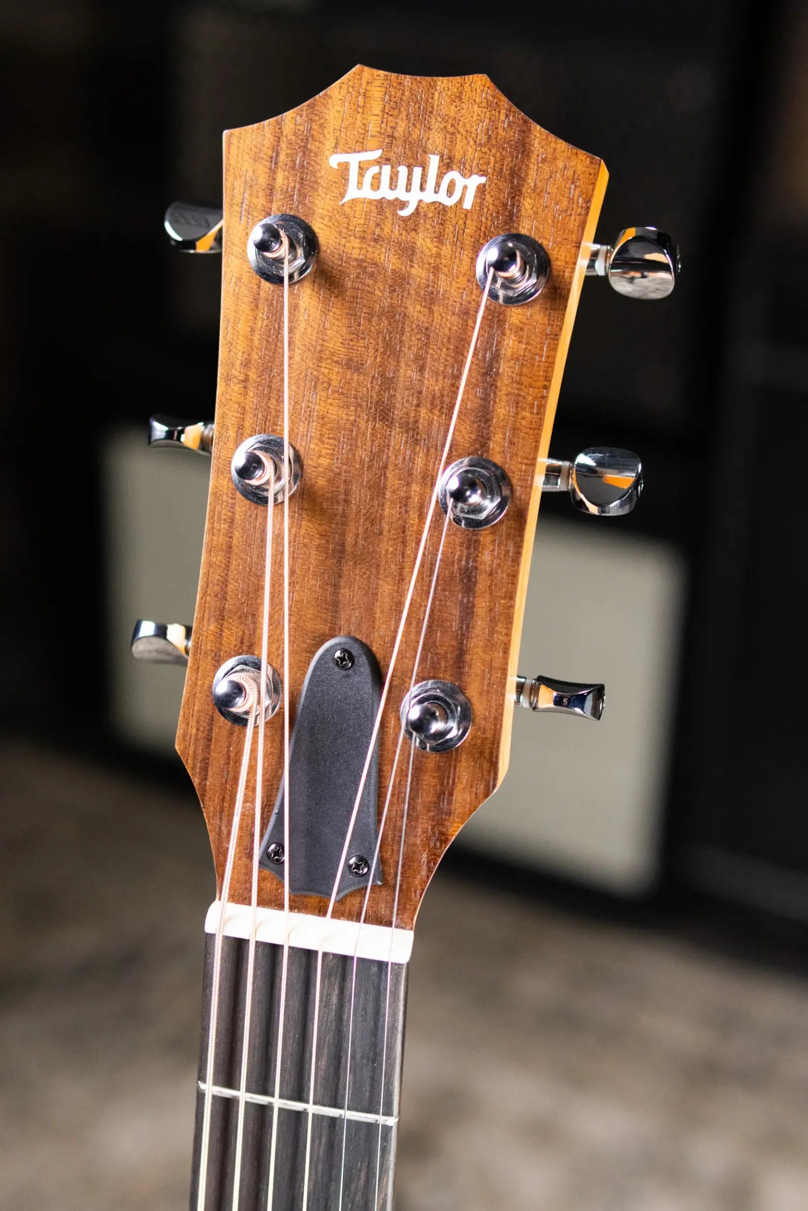Taylor 14ce Grand Auditorium Acoustic/Electric Guitar with Gig Bag