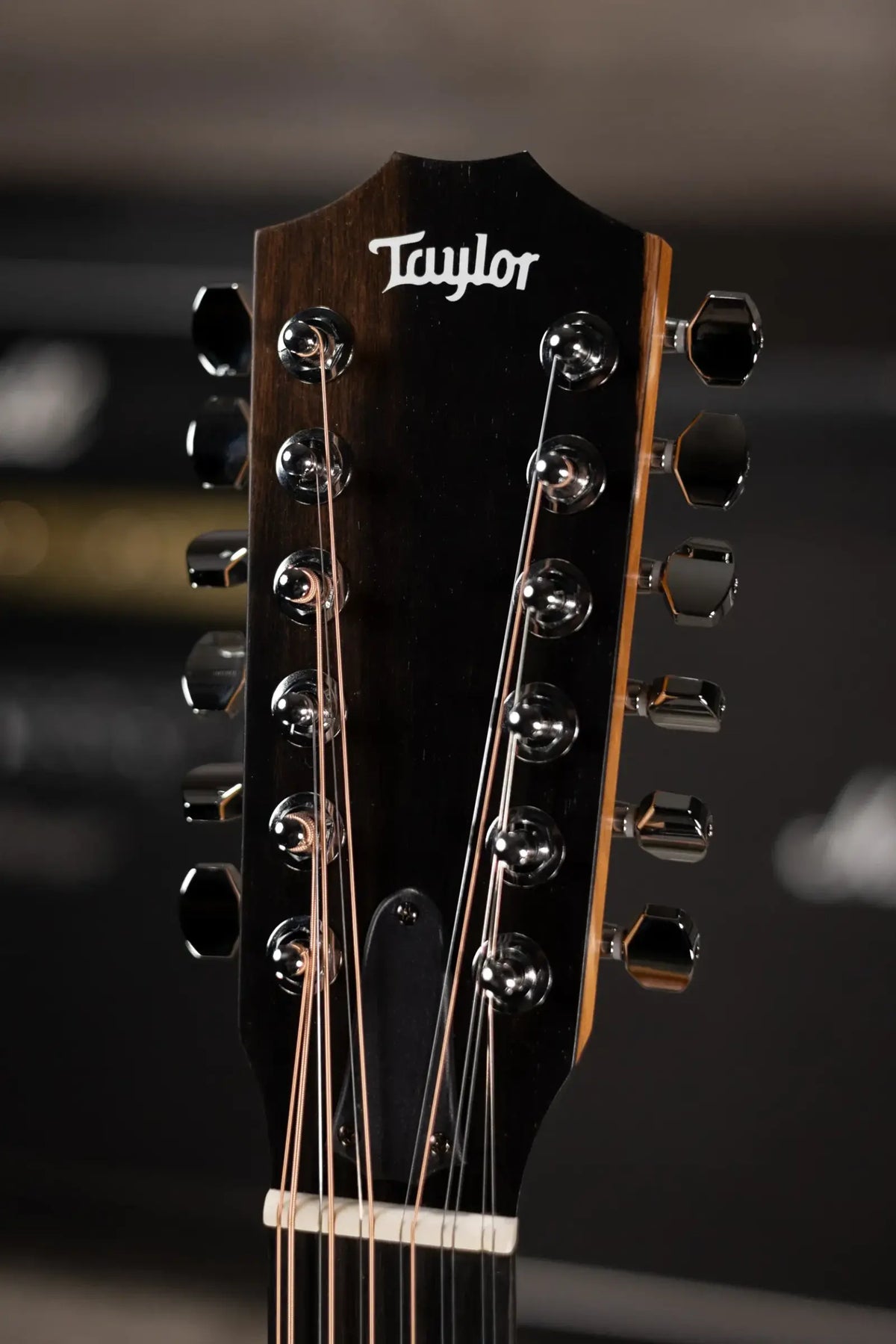 Taylor 150ce 12-String Dreadnought Acoustic/Electric Guitar with Gig Bag - Factory Used