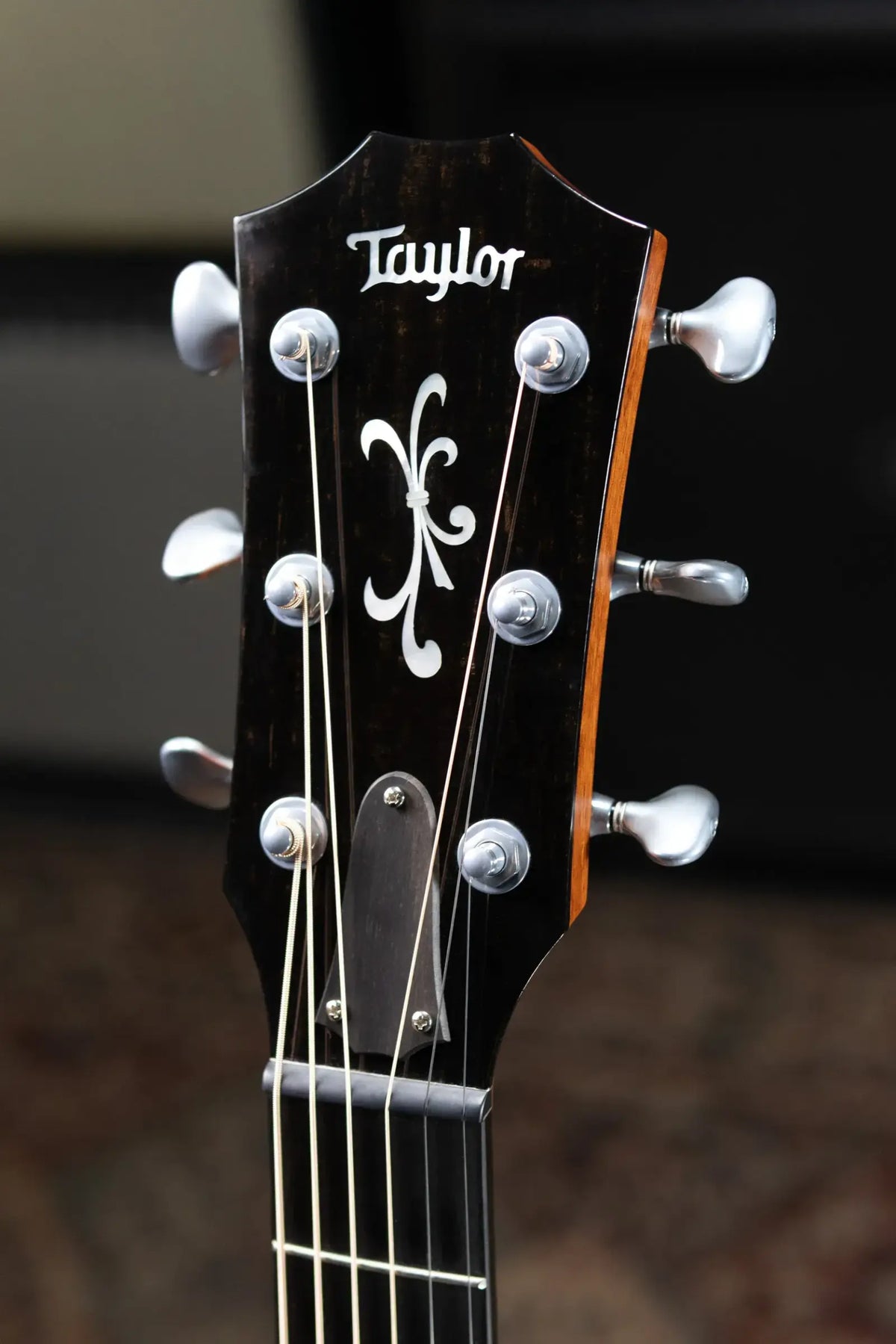 Taylor 2020 Catch Custom #24 Grand Concert Acoustic-Electric Guitar - Lutz/Bocote with Hardshell Case - Used