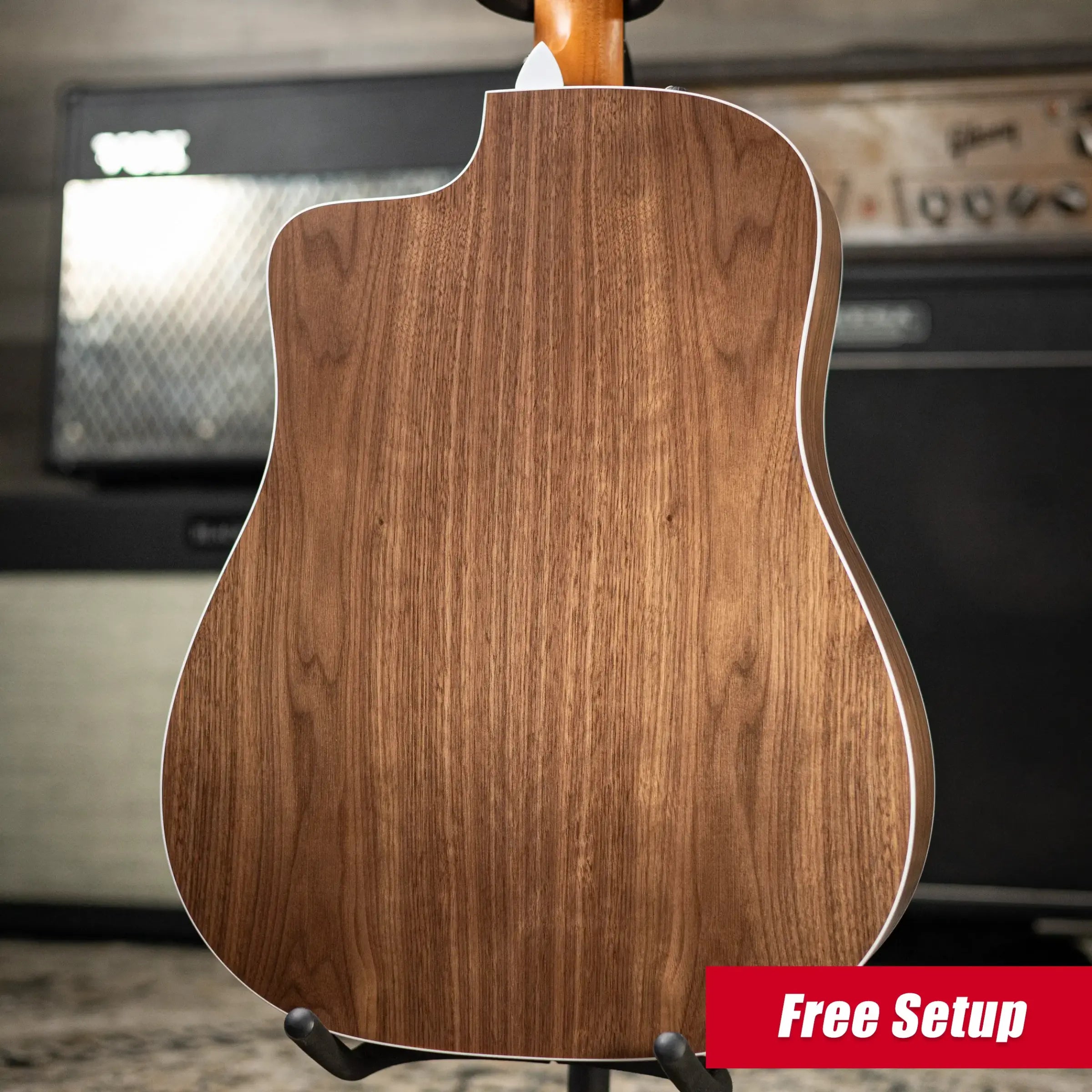 Taylor 210ce Dreadnought Acoustic/Electric Guitar with Gig Bag