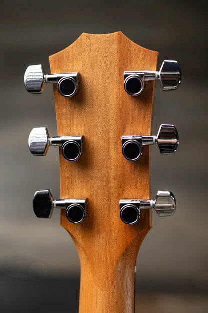 Taylor 210ce Dreadnought Acoustic/Electric Guitar with Gig Bag