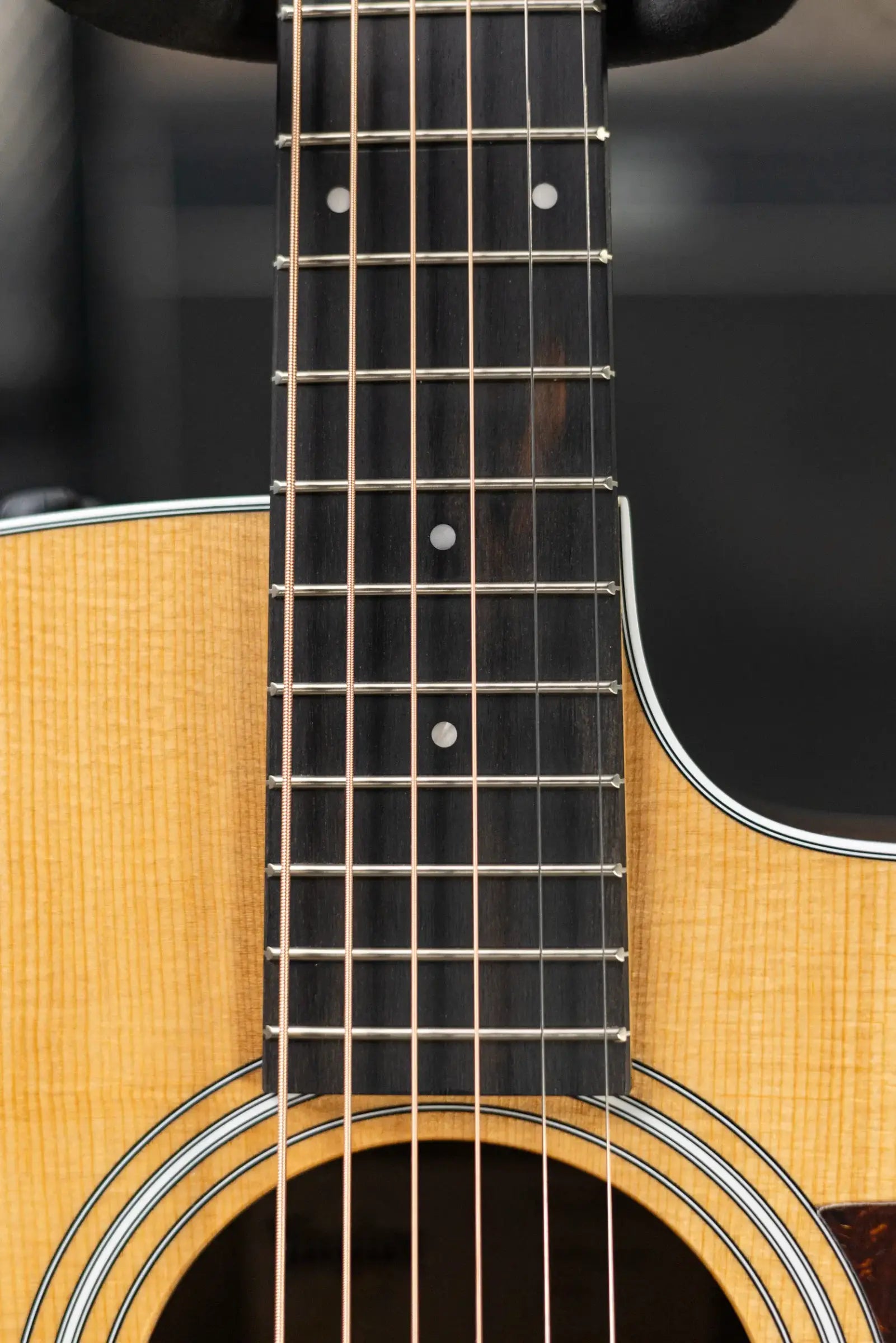 Taylor 210ce Dreadnought Acoustic/Electric Guitar with Gig Bag