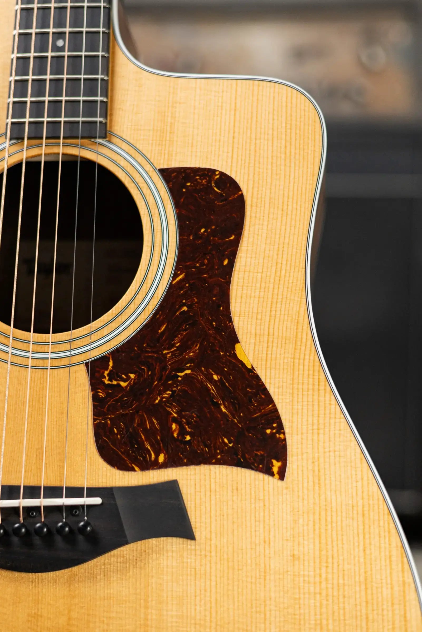 Taylor 210ce Dreadnought Acoustic/Electric Guitar with Gig Bag