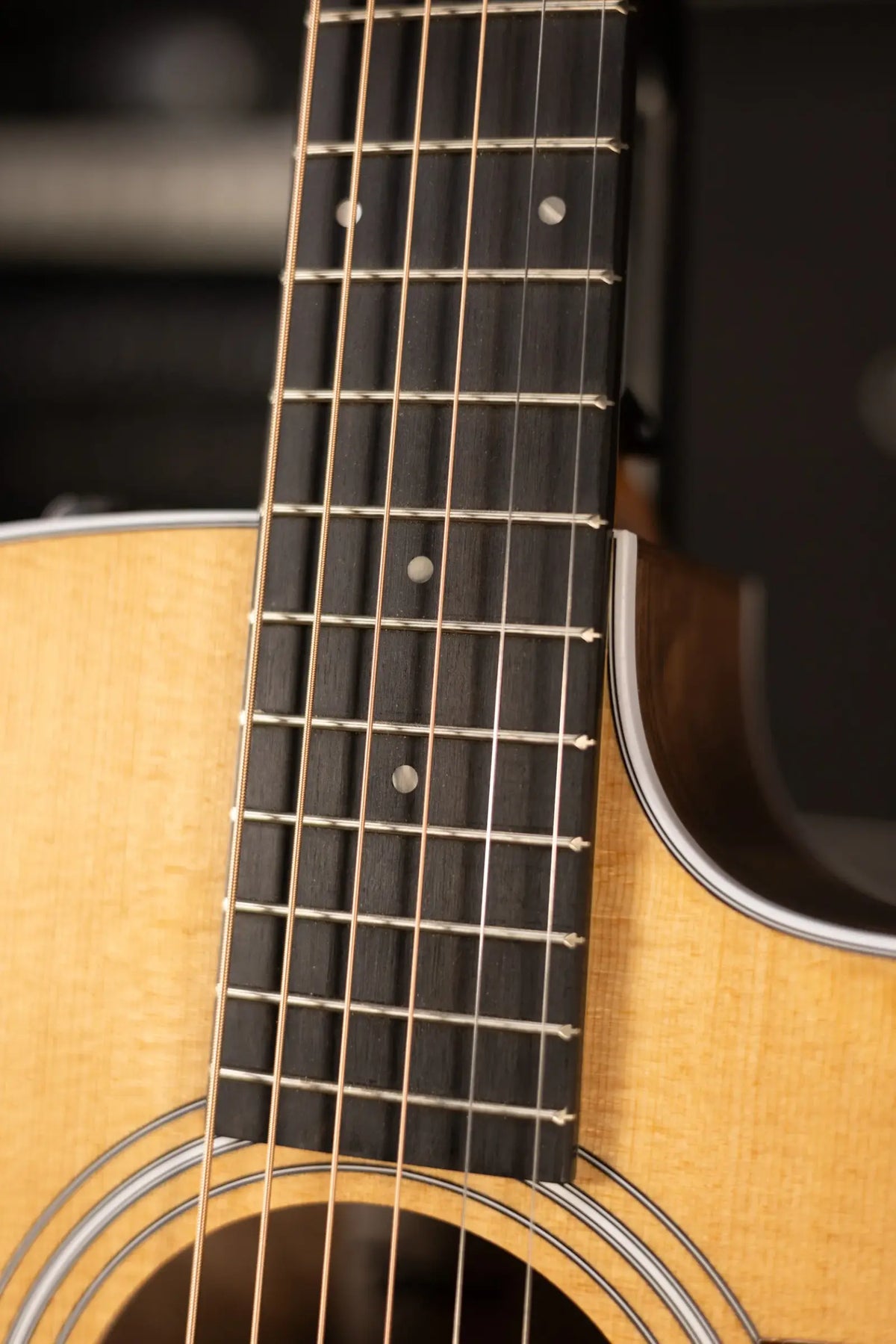 Taylor 210ce Dreadnought Acoustic/Electric Guitar with Gig Bag - Factory Demo