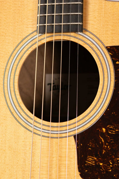 Taylor 210ce Dreadnought Acoustic/Electric Guitar with Gig Bag - Factory Demo