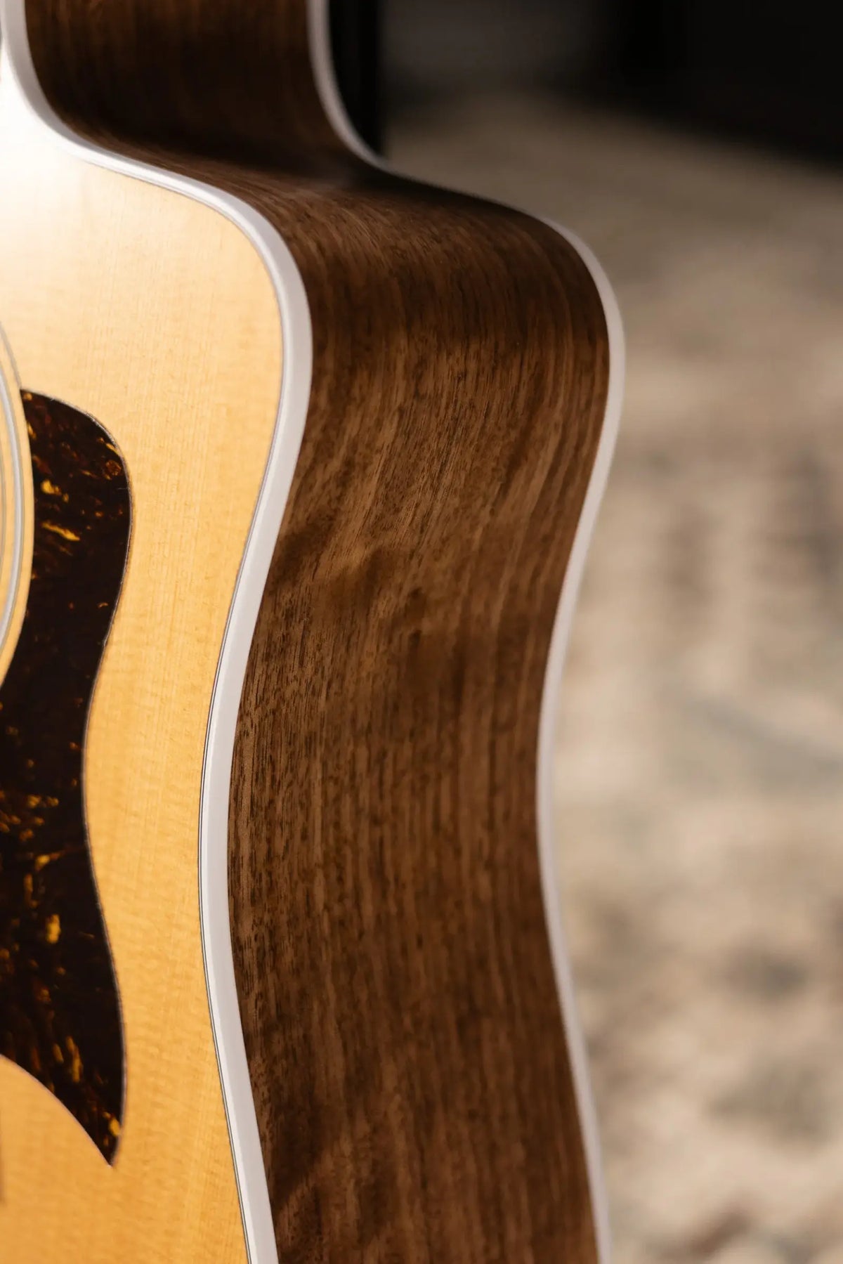 Taylor 210ce Dreadnought Acoustic/Electric Guitar with Gig Bag - Factory Demo