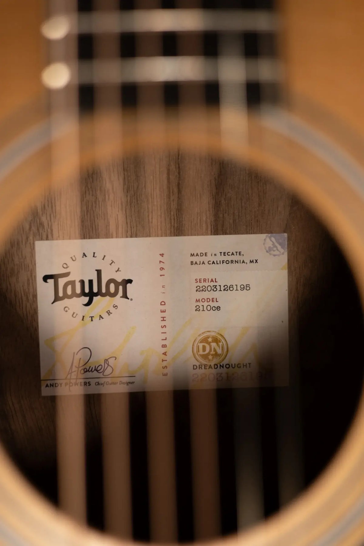 Taylor 210ce Dreadnought Acoustic/Electric Guitar with Gig Bag - Factory Demo