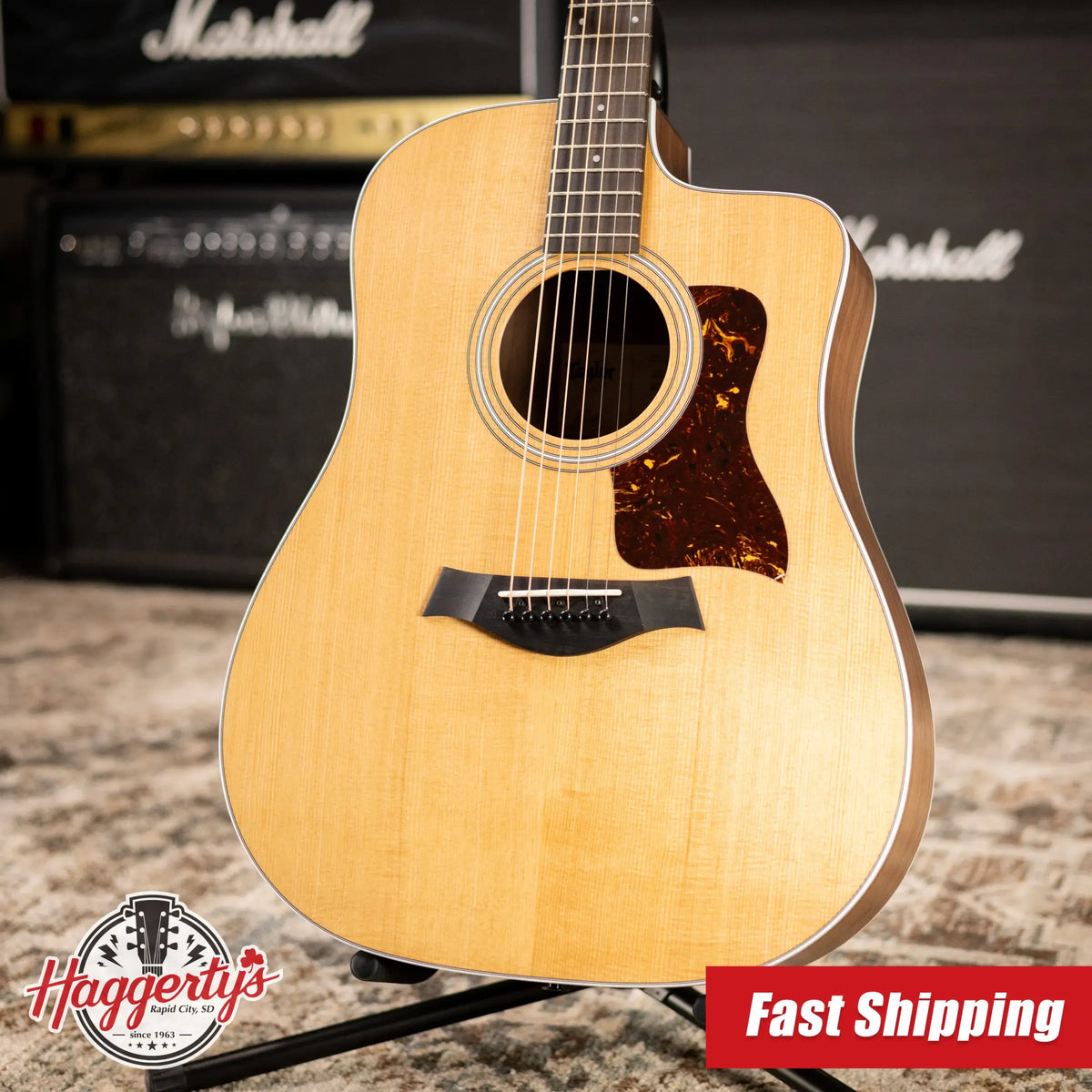 Taylor 210ce Dreadnought Acoustic/Electric Guitar with Gig Bag