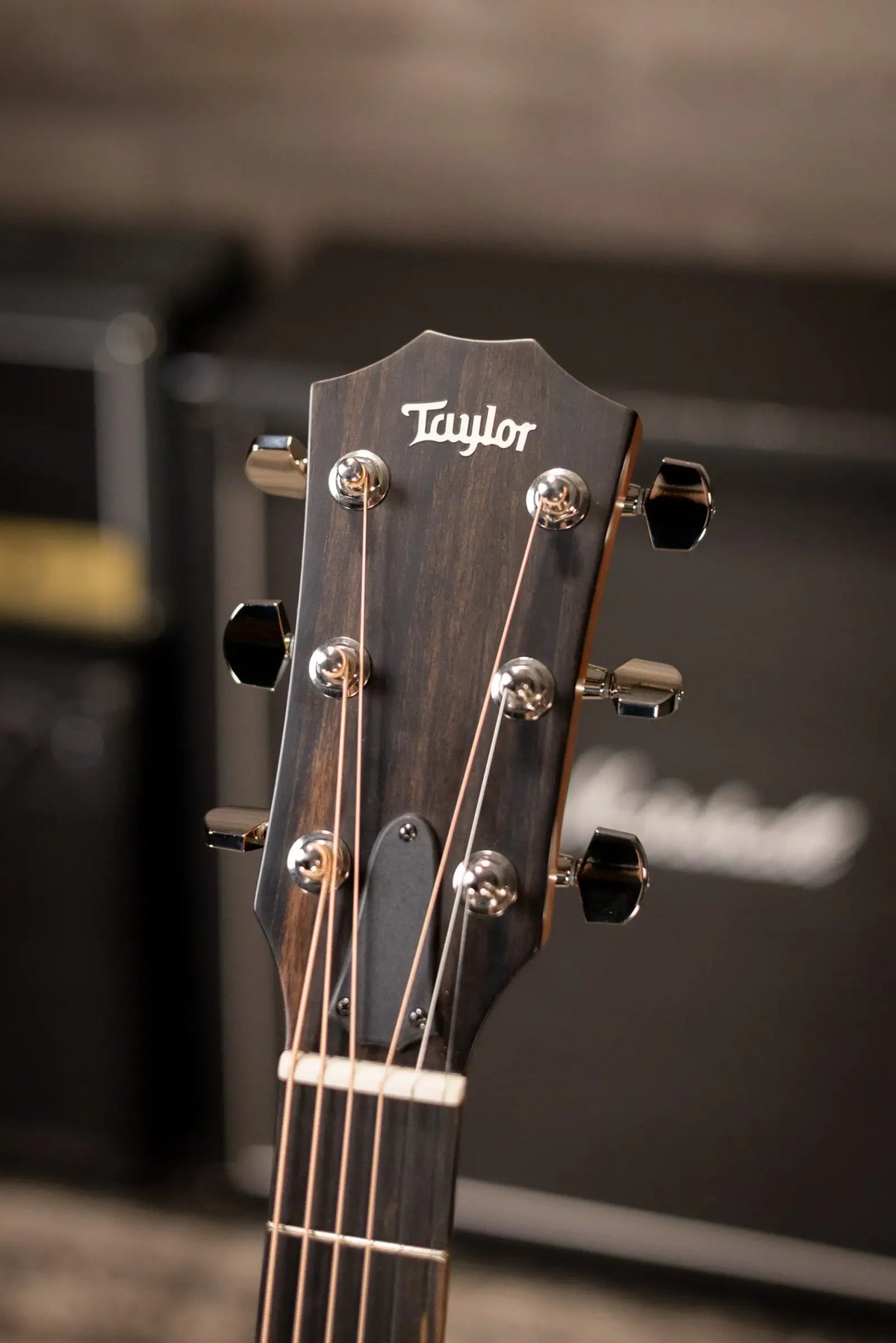 Taylor 210ce Dreadnought Acoustic/Electric Guitar with Gig Bag