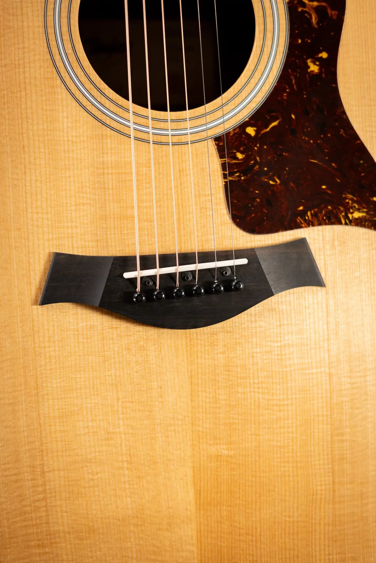 Taylor 210ce Dreadnought Acoustic/Electric Guitar with Gig Bag