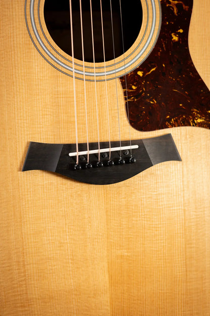 Taylor 210ce Dreadnought Acoustic/Electric Guitar with Gig Bag