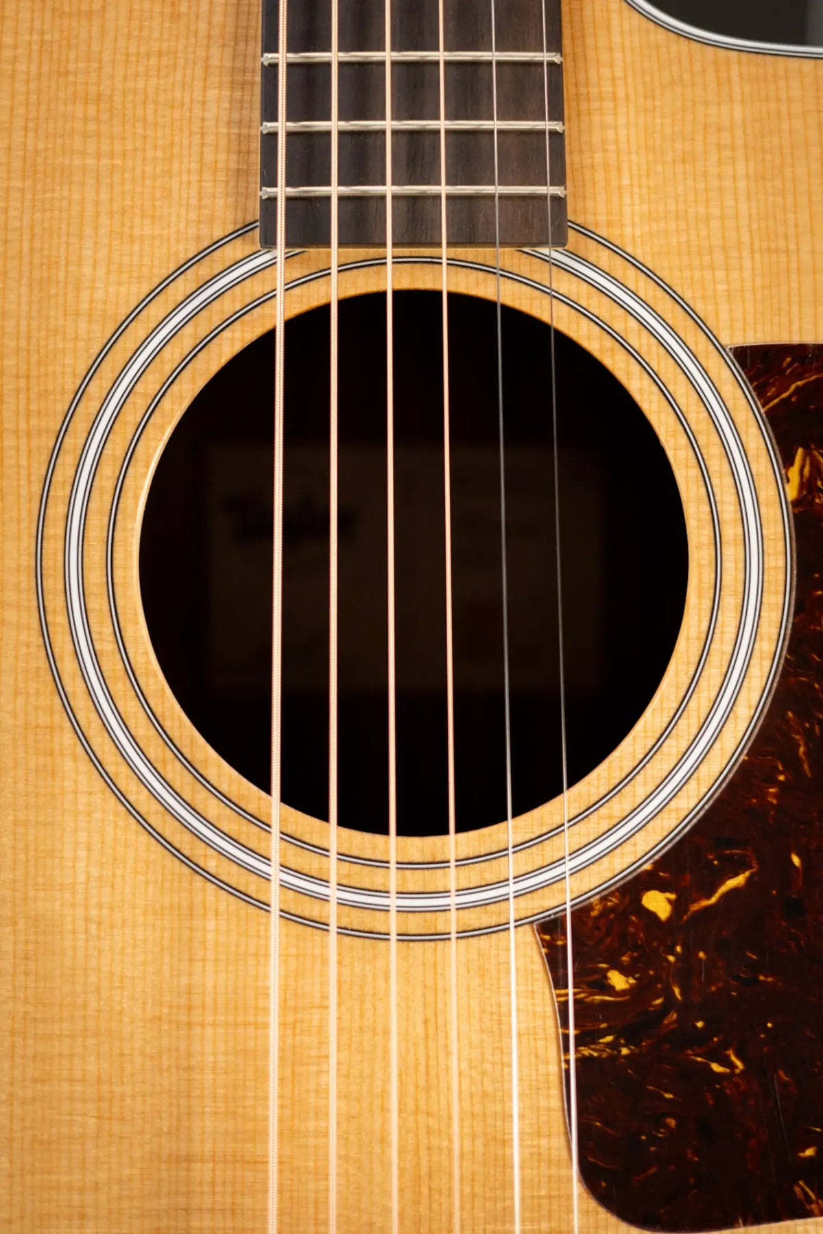 Taylor 210ce Dreadnought Acoustic/Electric Guitar with Gig Bag