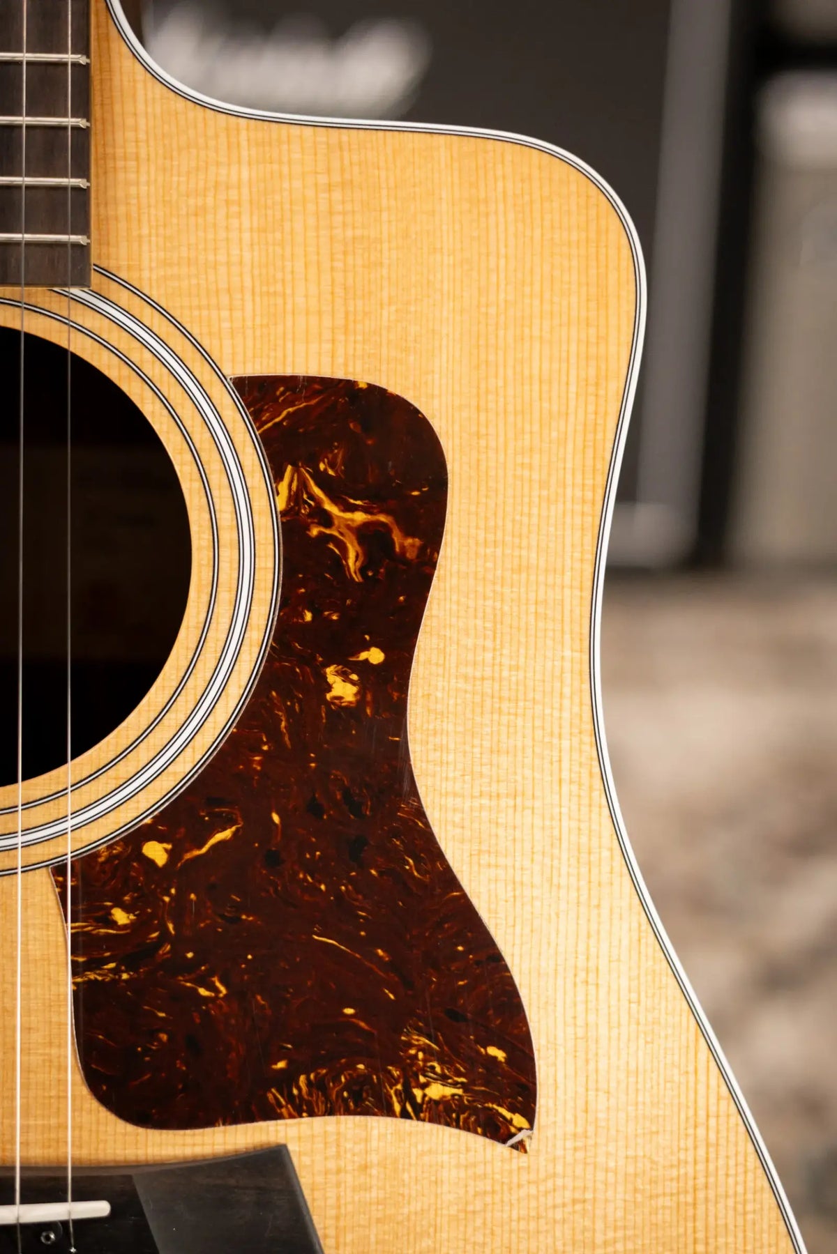 Taylor 210ce Dreadnought Acoustic/Electric Guitar with Gig Bag