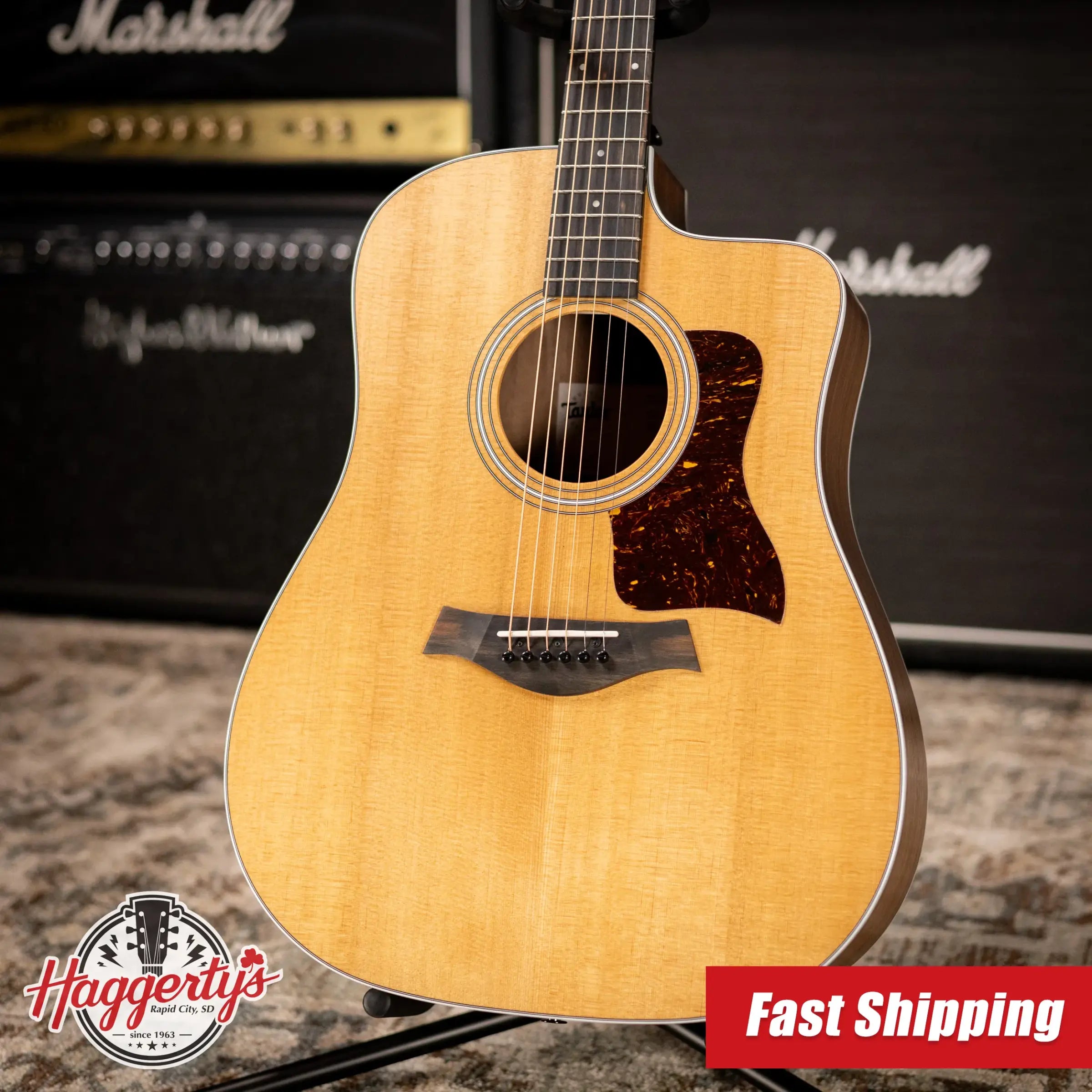 Taylor 210ce Dreadnought Acoustic/Electric Guitar with Gig Bag