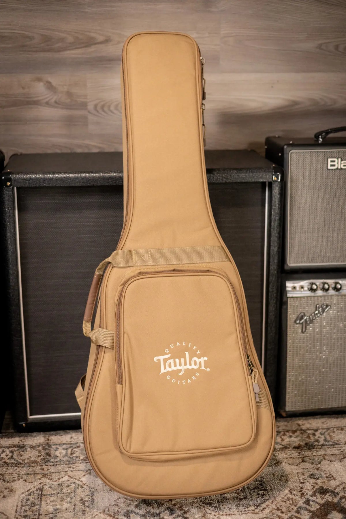 Taylor 210ce Dreadnought Acoustic/Electric Guitar with Gig Bag