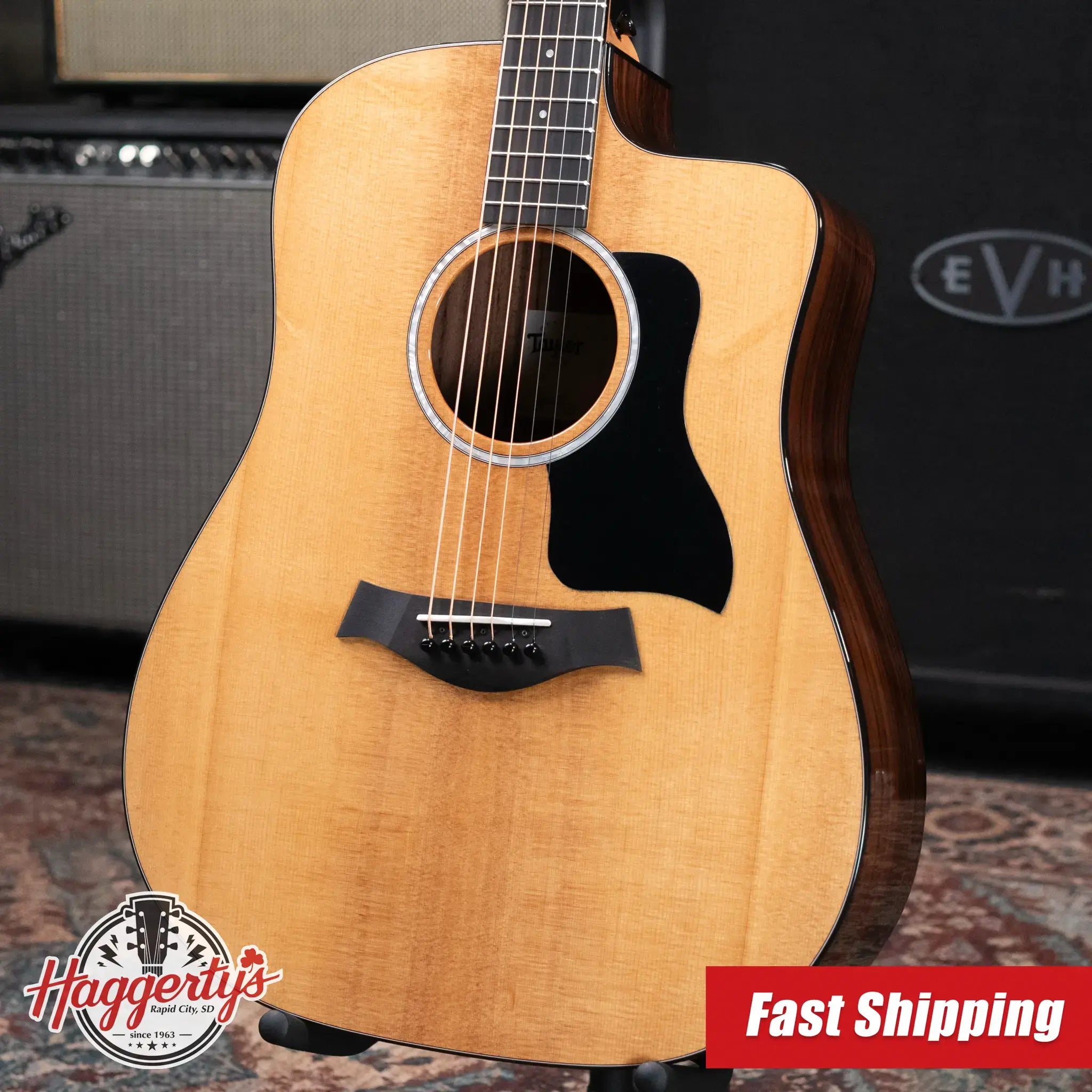 Taylor 210ce Plus Dreadnought Acoustic/Electric Guitar with AeroCase
