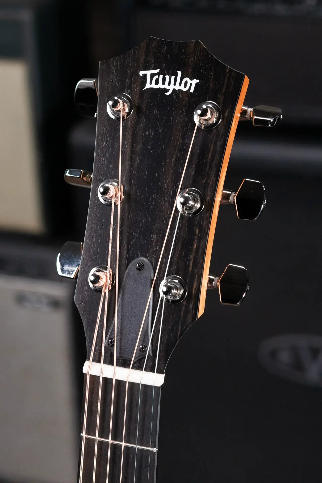 Taylor 210ce Plus Dreadnought Acoustic/Electric Guitar with AeroCase