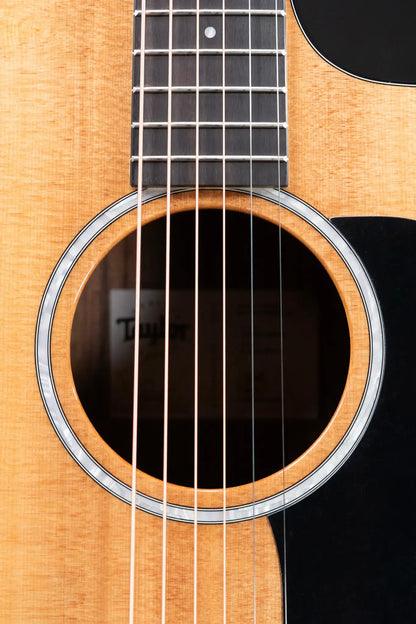 Taylor 210ce Plus Dreadnought Acoustic/Electric Guitar with AeroCase