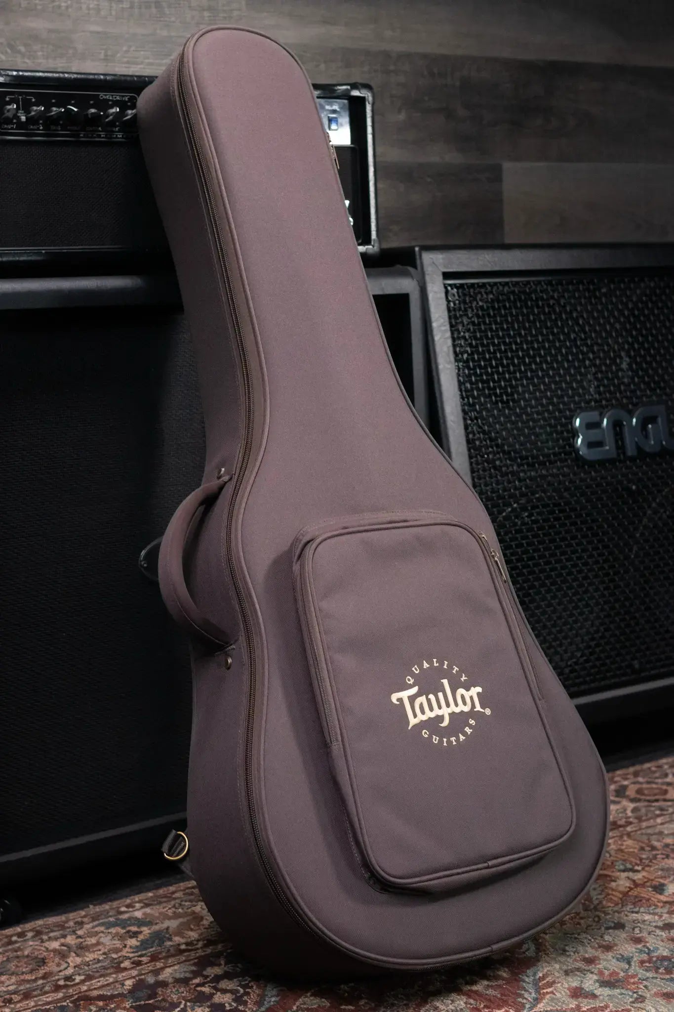 Taylor 210ce Plus Dreadnought Acoustic/Electric Guitar with AeroCase