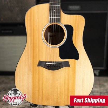 Taylor 210ce Plus Dreadnought Acoustic/Electric Guitar with Aerocase
