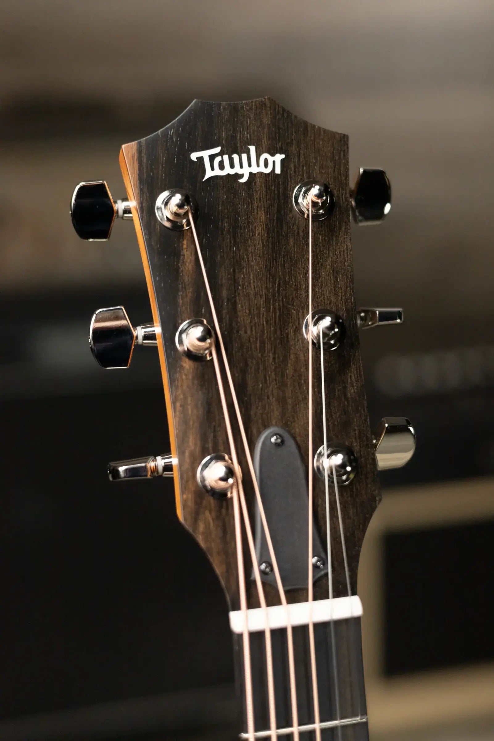 Taylor 210ce Plus Dreadnought Acoustic/Electric Guitar with Aerocase