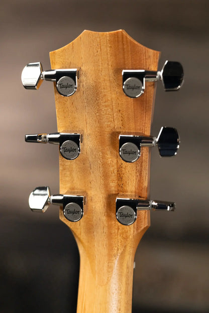 Taylor 210ce Plus Dreadnought Acoustic/Electric Guitar with Aerocase