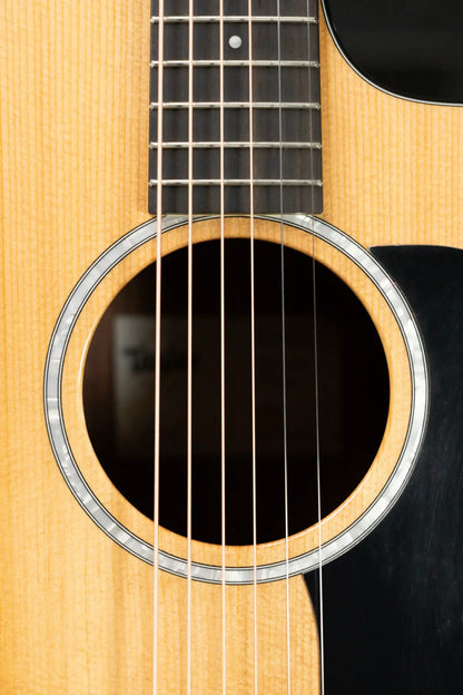 Taylor 210ce Plus Dreadnought Acoustic/Electric Guitar with Aerocase